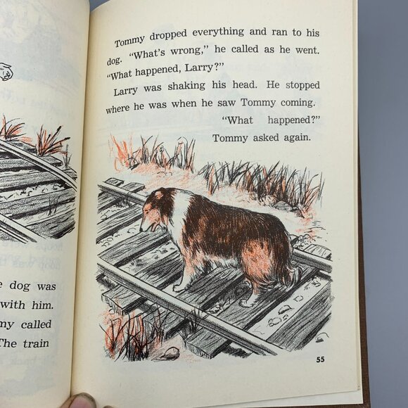 Vintage 1958 Tommy O'Toole and the Forest Fire Childrens Book in Excellent Shape - Picture 13 of 16